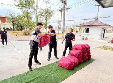 สำนักงานสหกรณ์จังหวัดหนองคายกระจายหอมแดง(ปึ๋ง) ... พารามิเตอร์รูปภาพ 36